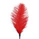 Лоскітка зі страусиним пером Art of Sex - Feather Tickler, колір Червоний SO6999 фото 3