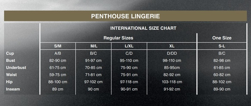 Боді Penthouse Be Nine XL Black, виріз на спинці, імітація стреп у вигляді геометричного малюнка SO6442 фото