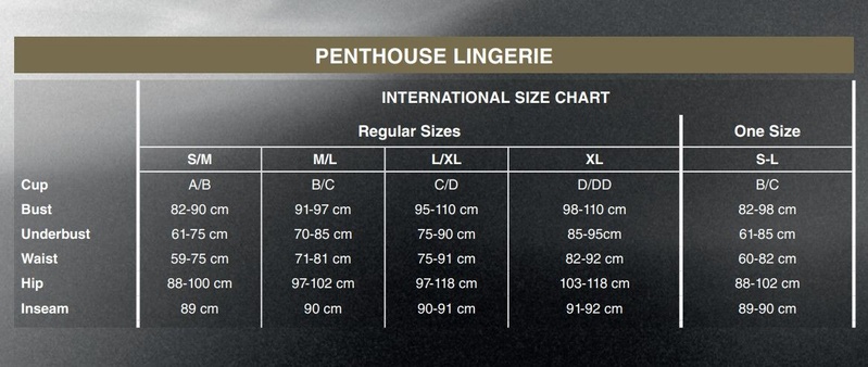 Бодістокінг з імітацією ліфа Penthouse - High Profile Black S/L SO4405 фото