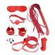 Набір MAI BDSM STARTER KIT Nº75: батіг, кляп, наручники, маска, нашийник з повідцем, мотузка, затиск SO5004 фото 1