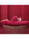 Вібратор-кролик з вакуумною стимуляцією і стовбуром, що обертається KisToy A-King Max Red SO4956 фото 5