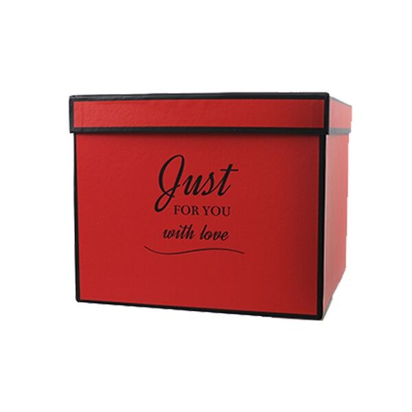 Подарункова коробка Just for you червона, L - 25х22х18 см SO5473 фото