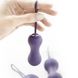 Набір вагінальних кульок Je Joue - Ami Purple, діаметр 3,8-3,3-2,7см, вага 54-71-100гр SO3042 фото 3