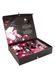 Подарунковий набір Shunga NAUGHTY Cosmetic Kit: змазка та стимулювальні засоби для нього та для неї SO6896 фото 2